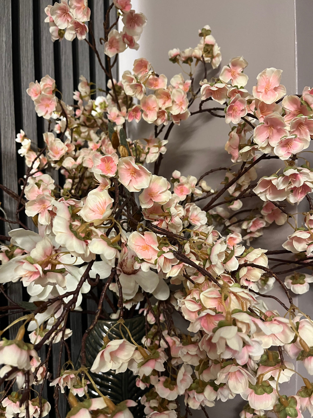 Spring is On The Way