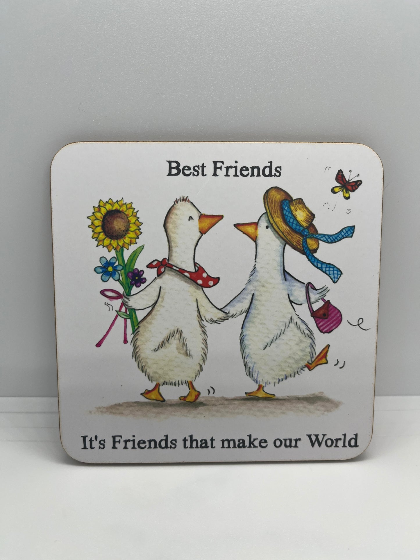 Friends World Coaster