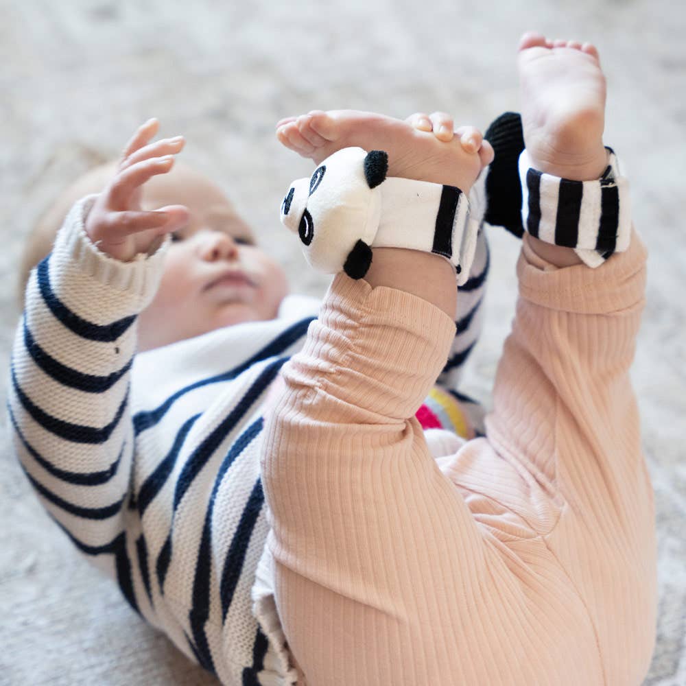 Sensory Ankle & Wrist Rattles